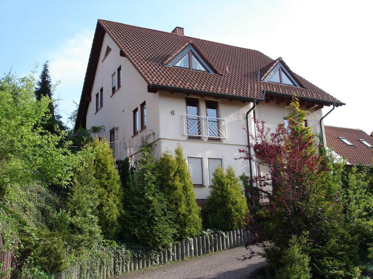 Ferienwohnung Rehgarten Momlingen Buitenkant foto